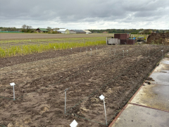 Highlighted image: CNB New Plants showtuin is een feit!
